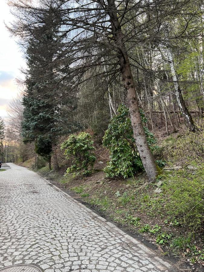 92 Def Apartamento Ustroń